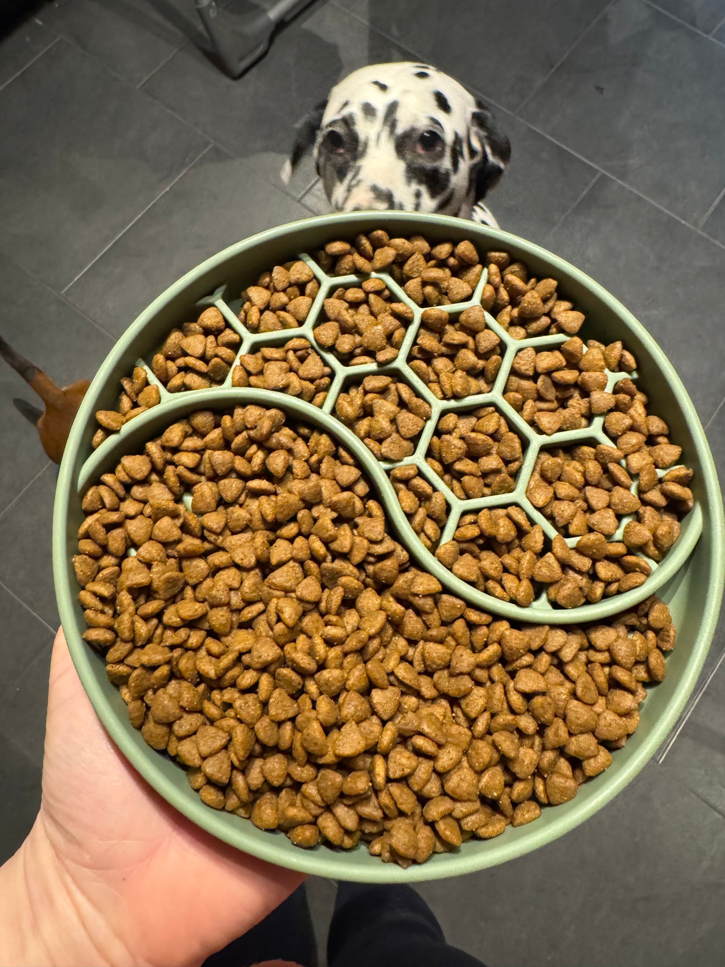 Silicone slow feeder bowl