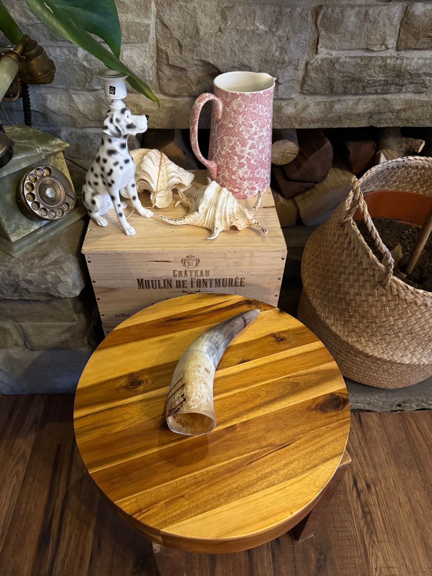 Selection of buffalo horns, buffalo horns filled with peanut butter.