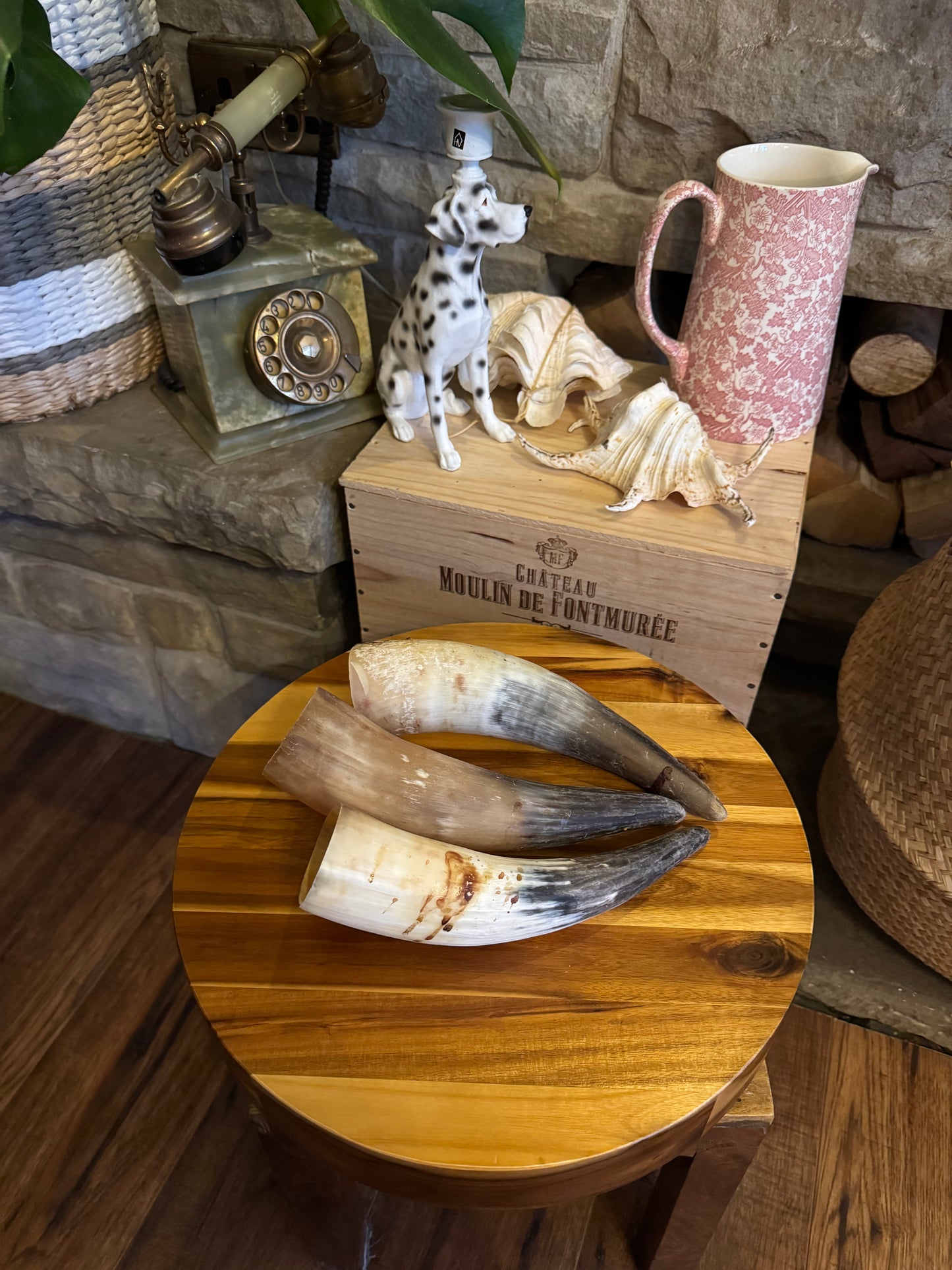 Selection of buffalo horns, buffalo horns filled with peanut butter.