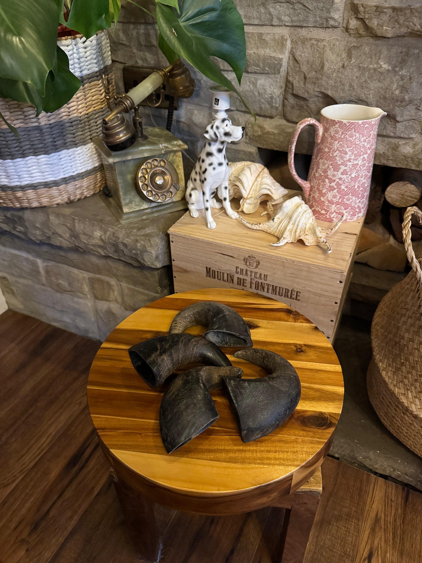 Selection of buffalo horns, buffalo horns filled with peanut butter.