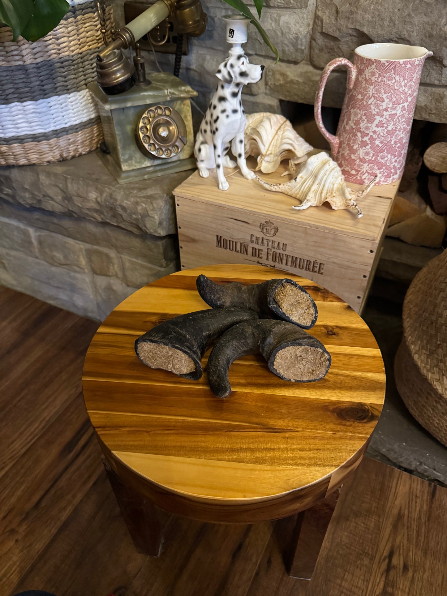 Selection of buffalo horns, buffalo horns filled with peanut butter.