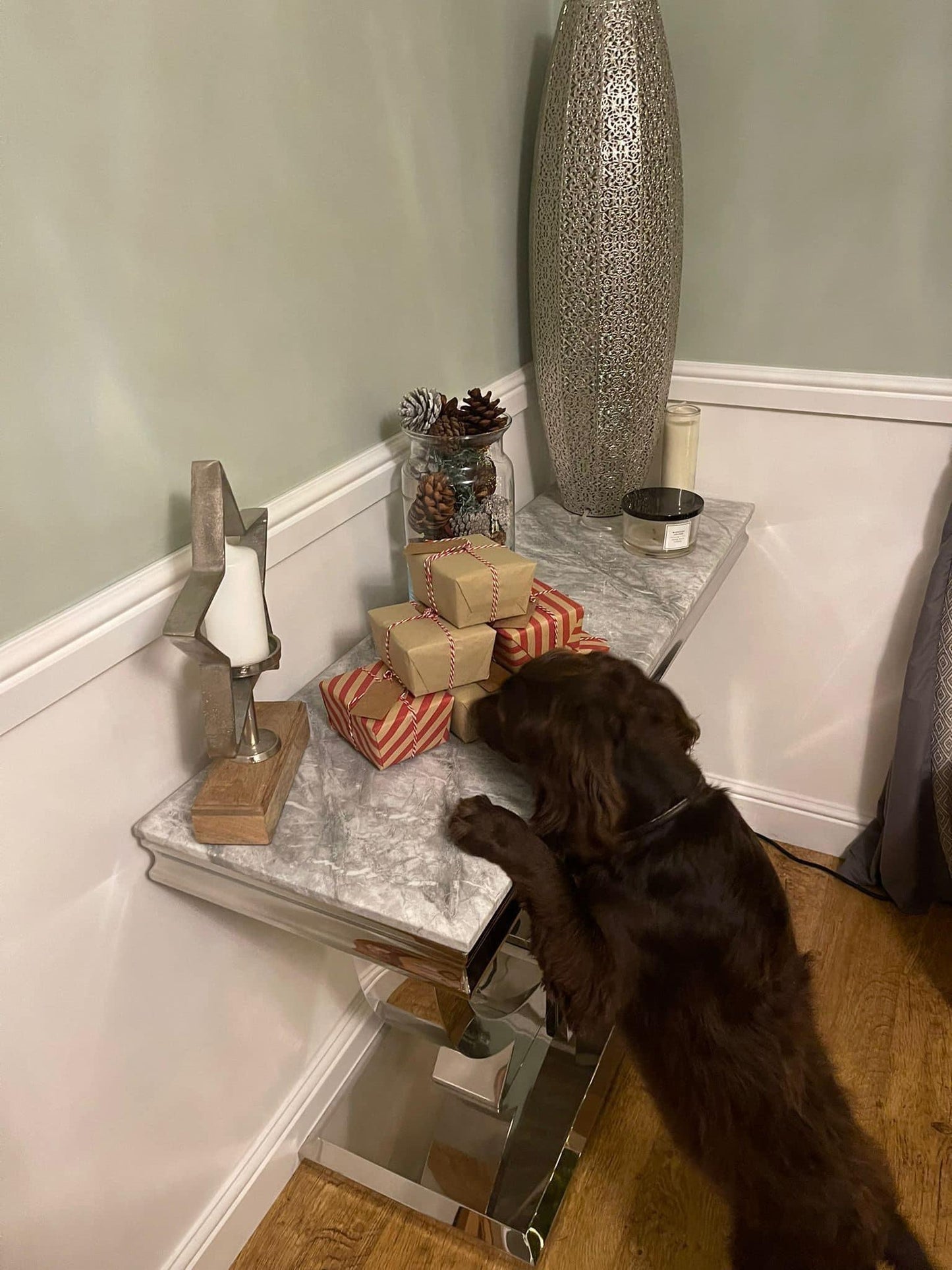 Christmas dog treat box toys natural treats including goose stuffed bone, buffalo eat, sausages, rabbit ears, pig ears, chicken feet, paddywack, trachea and beef scratching
