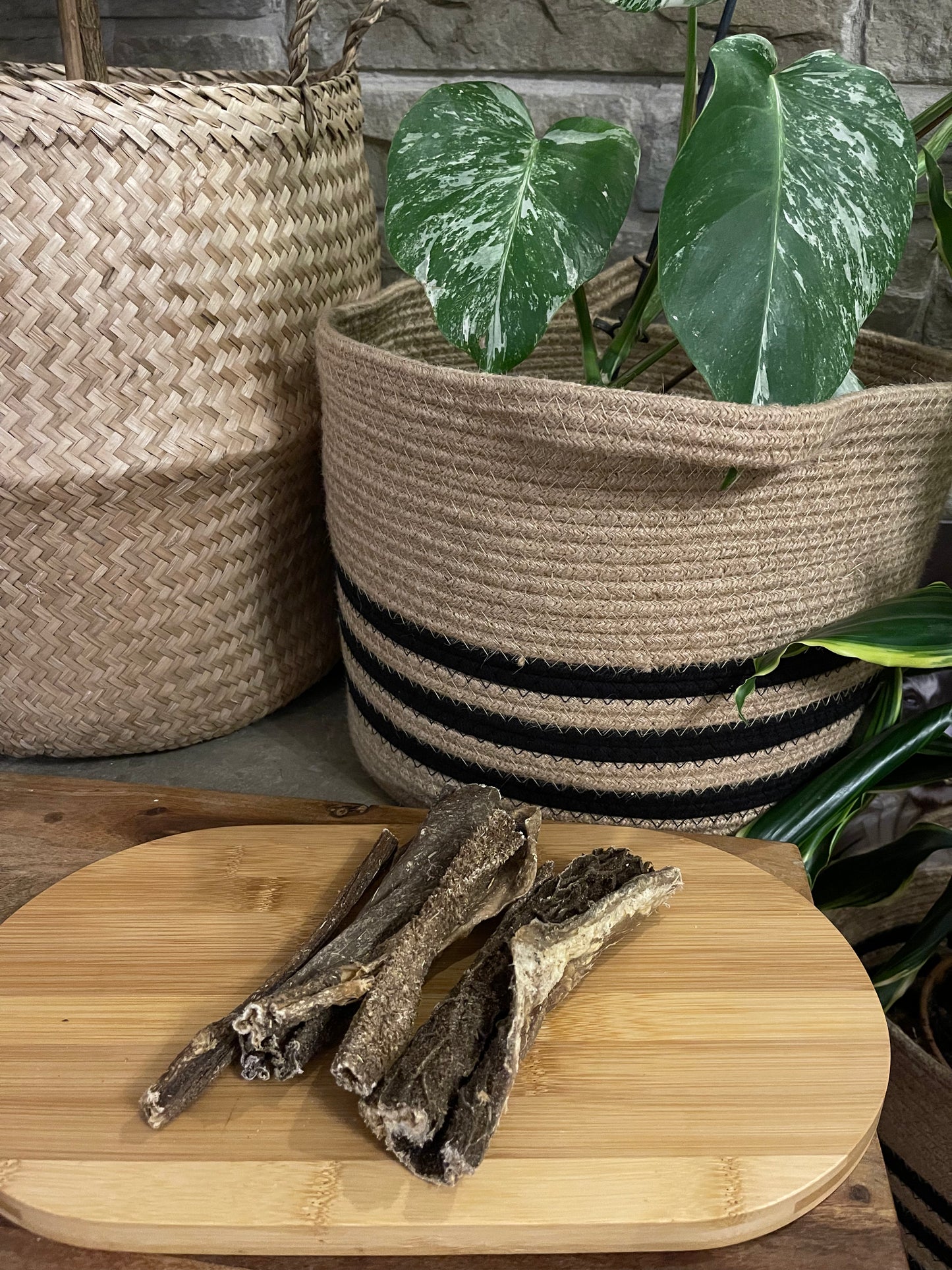 Dried beef tripe sticks, natural healthy dog treat. Teeth cleaning and high protein.