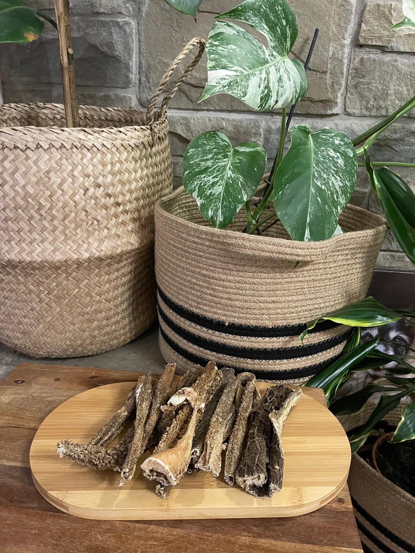 Dried beef tripe sticks, natural healthy dog treat. Teeth cleaning and high protein.