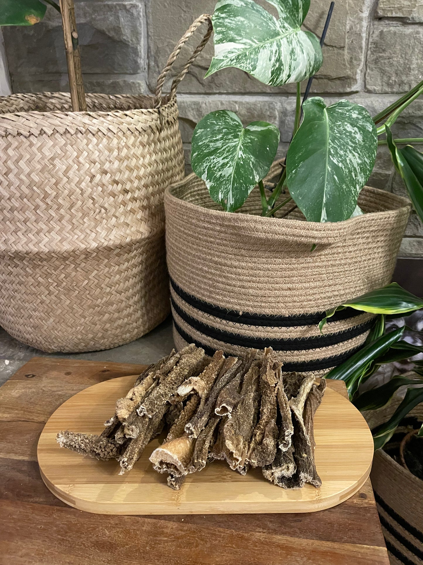 Dried beef tripe sticks, natural healthy dog treat. Teeth cleaning and high protein.