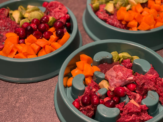 Slow feeder bowl for dogs for enrichment. 