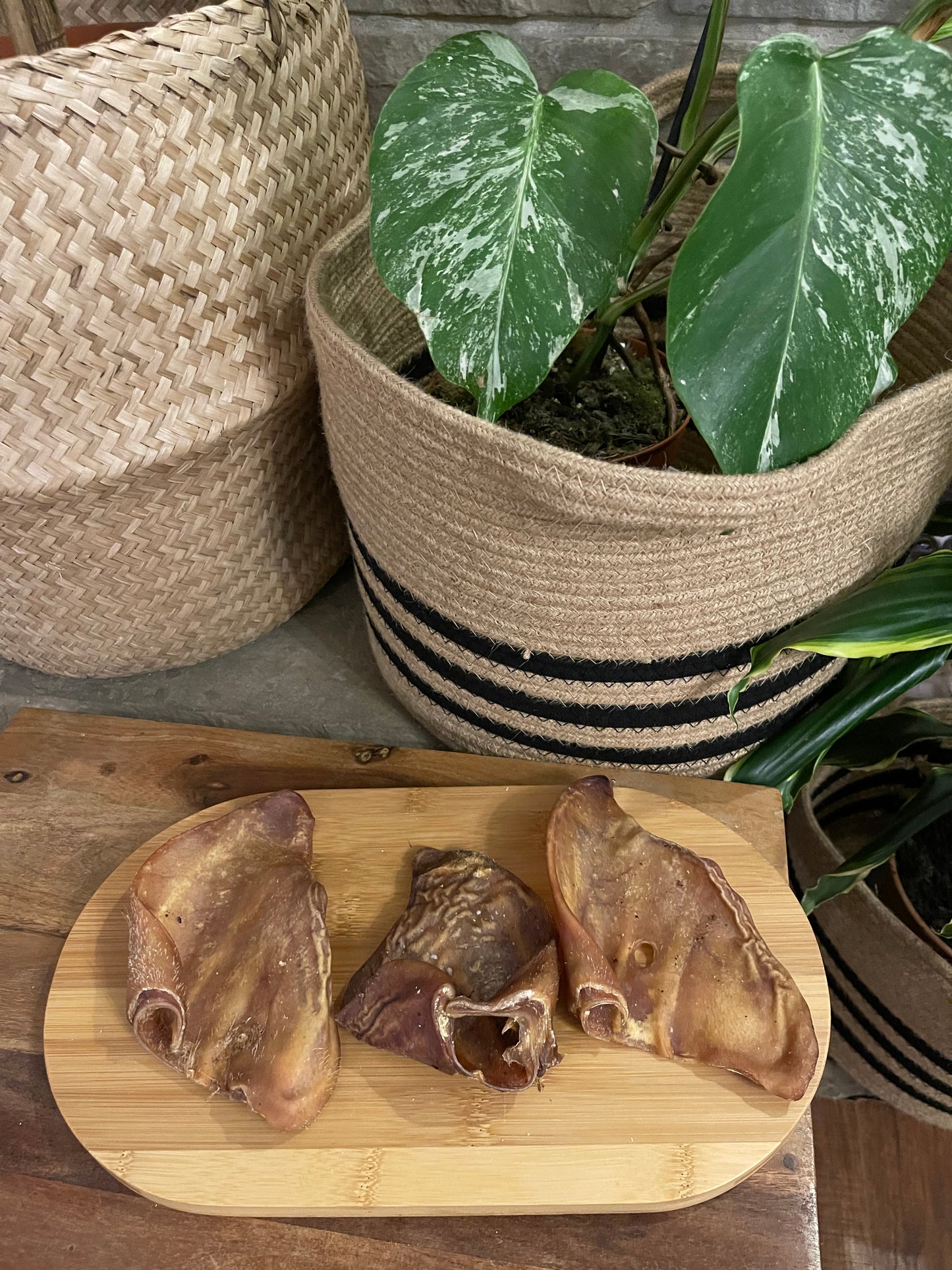 Pig ears natural dog treats