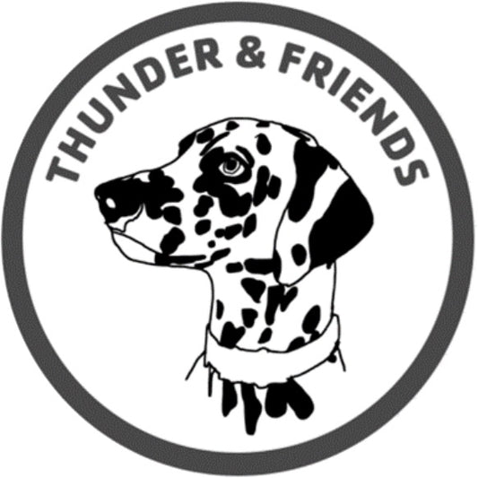 Thunder & Friends gift card